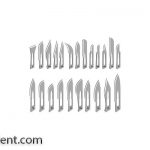 تیغ بیستوری